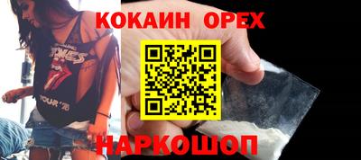гашик Донской