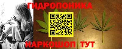 индика Донецк