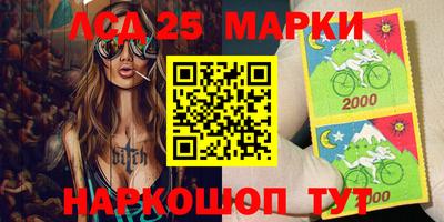 гашик Донской