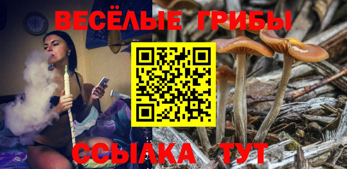 Галлюциногенные грибы Magic Shrooms Михайловка